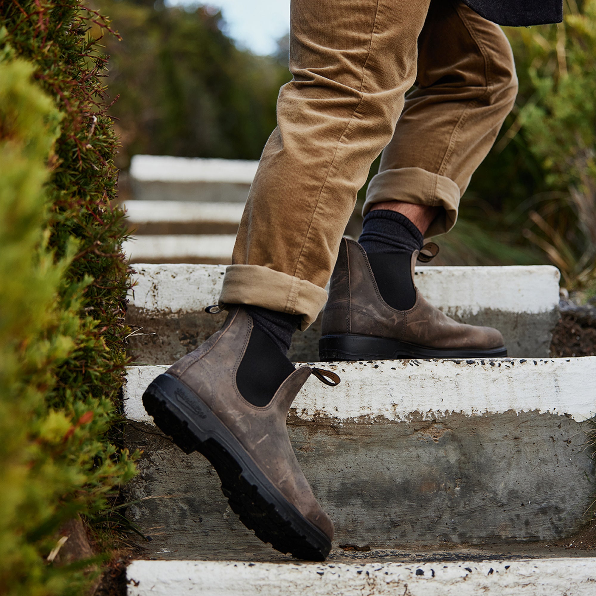 Men's Classics #2446 - Image 4